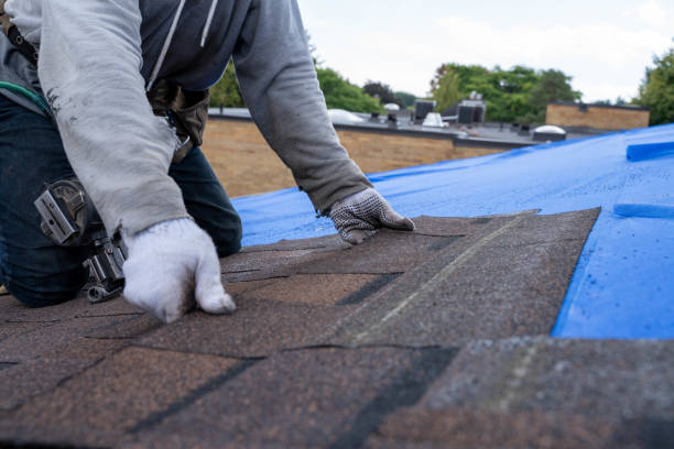 Gutter Installation and Roofing in Tornado, WV
