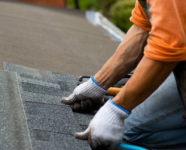 Roof Gutter Cleaning in Tornado, WV